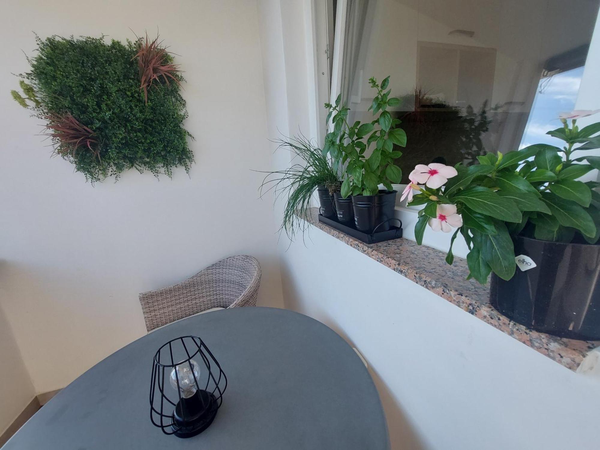 Petra Rooms And Apartments Palit Quarto foto